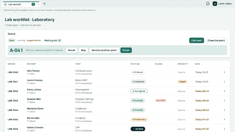 The laboratory worklist: each test, its status and any critical flag.
